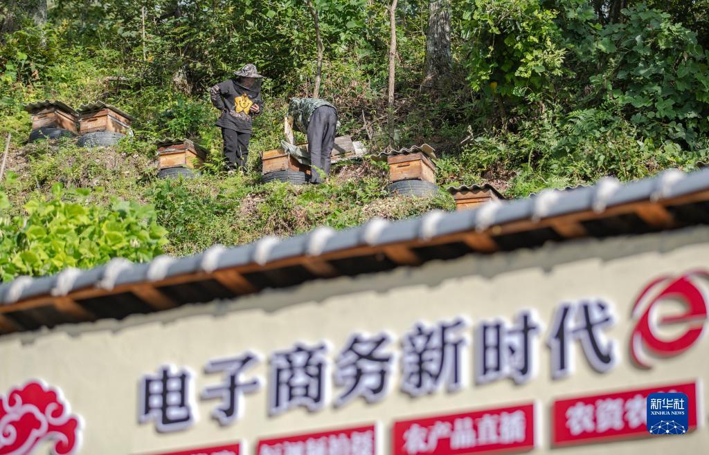 微乐斗地主官网电脑版下载